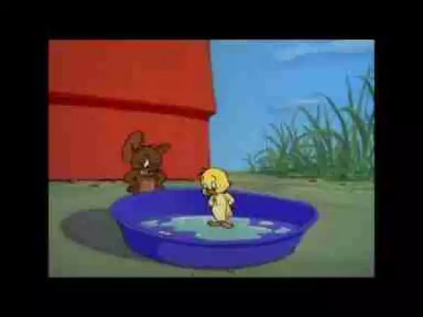 Video: Tom and Jerry, 77 Episode - Just Ducky (1953